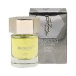 عطر جیبی مردانه برندینی مدل Y Day
