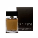 عطر جیبی مردانه برندینی مدل The one