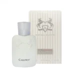 عطر جیبی برندینی مدل Galloway