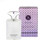 عطر جیبی مردانه برندینی مدل Reflection