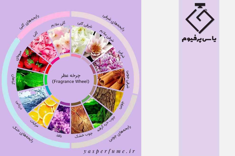 چرخه عطر