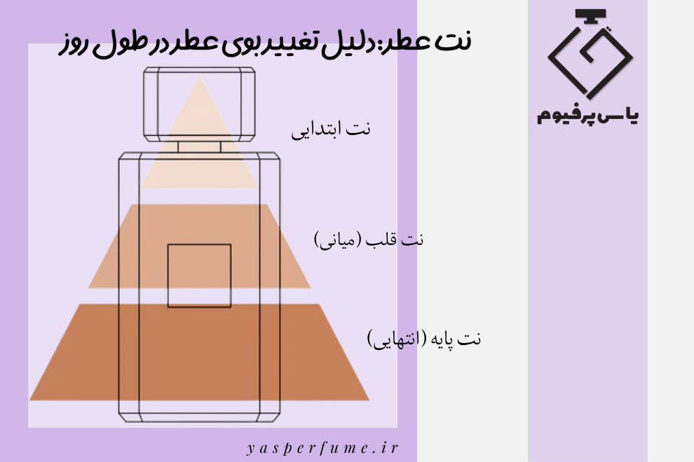 نت عطر