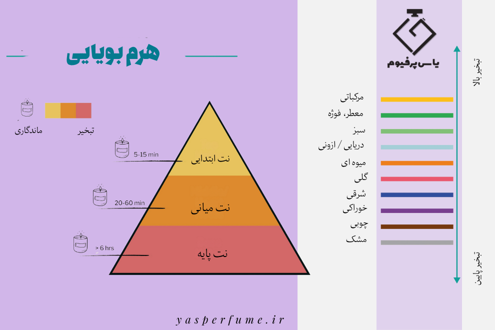مثلث بویایی (Fragrance Pyramid)