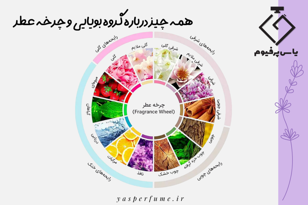 همه چیز درباره گروه بویایی و چرخه عطر